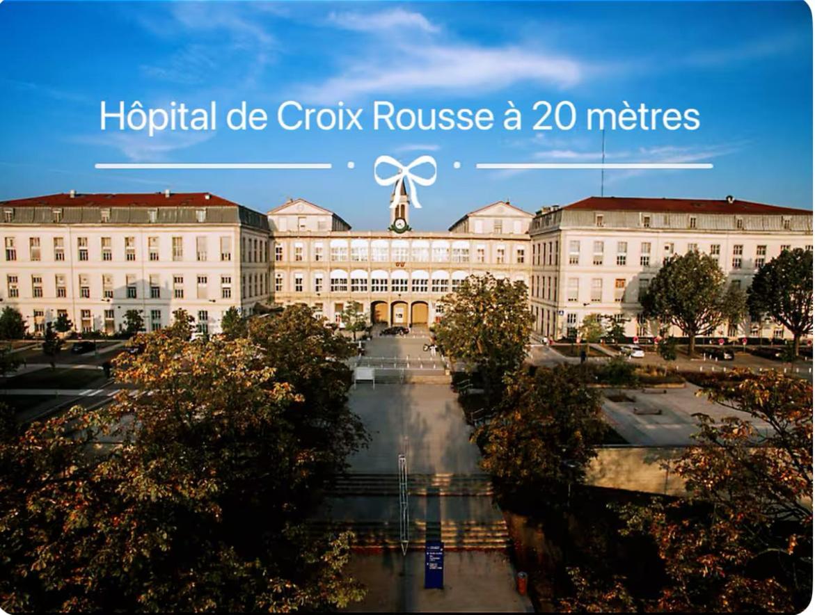 Art De Recevoir - L'Ecrin De Margnolles - Croix Rousse - Metro C-Cuire Caluire-et-Cuire Exterior foto